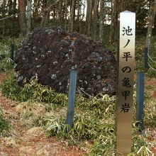 根羽村側にある亀甲岩！！