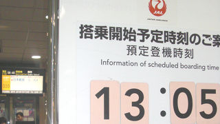 JAL ボーイング737-800　4時間の遅延（1/3搭乗）