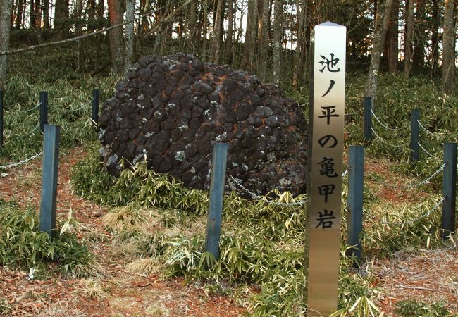 池ノ平の亀甲岩