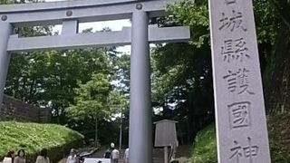 雄大な眺めが観れます