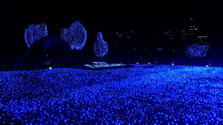 見るまでは長蛇の列