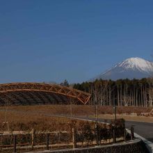 富士山樹空の森