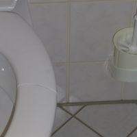 しかし便器がわれていた（すぐ直せばいいのに...)