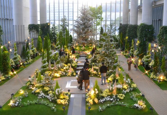 淡路夢舞台温室 奇跡の星植物館 クチコミ アクセス 営業時間 淡路島 フォートラベル 淡路夢舞台温室 奇跡の星植物館 クチコミ アクセス 営業時間 淡路島 フォートラベル