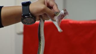 沖縄体験するのに