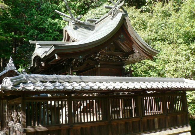 紅葉の名所となっている京都府京田辺市の酒屋神社（さけやじんじゃ）