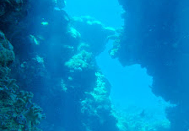 ダイブセブンシーズ