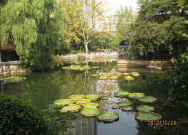 上海人民公園