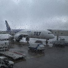 話題のボーイング７８７も就航しています