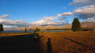 ずっと見ていたい光景です。