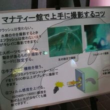 ご丁寧にありがとうございます(笑)