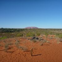 リゾートの中心にある丘からの眺望