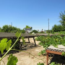 地上はこんな感じです