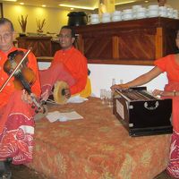 バーベキューナイトのミニ楽団