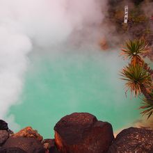 コバルトブルーの綺麗な海地獄！