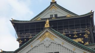 大阪城での子供たちの自由研究にお付き合い