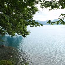 湖畔からの眺め