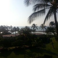 部屋からの眺め