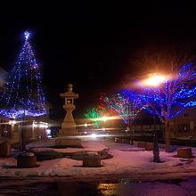 こんな夜景も魅力的です