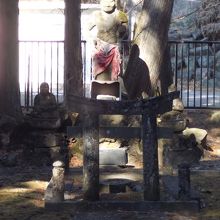 不動明王（奥）と護摩壇（手前）　：　共に日光修験の修行の遺跡