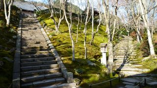 朝の光が差し込む時間が最高です