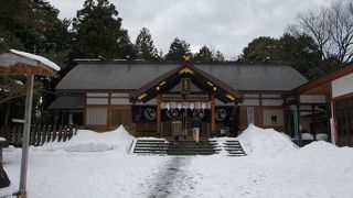 境内に天然記念物のしだれ桜があって、樹齢は370年。これも見事なものです。