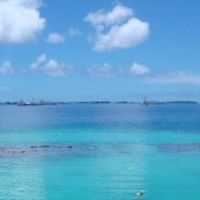 客室からの眺め