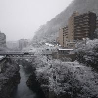 渓谷側の部屋からの景色