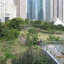 高層ビルに囲まれた公園の中央緑地。