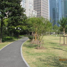 公園内の曲がりくねった遊歩道。