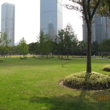 芝生の広がる公園。