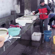 生き物を売っている。