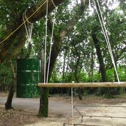 雰囲気のある神社