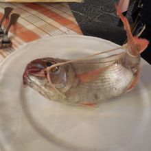 店先に並んでたこの魚を選びました。お値段は重さで
