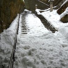 階段の状況　（下りは特に注意が必要）