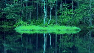 東山魁夷画伯の＜緑響く＞のモデル・御射鹿池