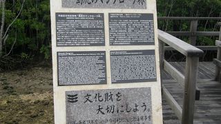 遊歩道が整備されています