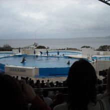 オキちゃん劇場