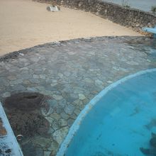 産卵場がある水槽