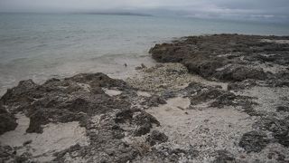 砂浜ではないが、少しは拾える星の砂