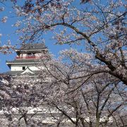 桜満開の 「鶴ヶ城」