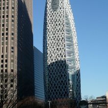 本当に存在感あります