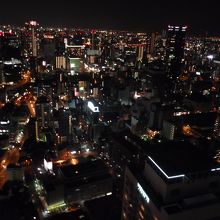 空中庭園からの夜景