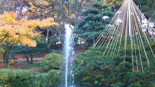 日本庭園では珍しい