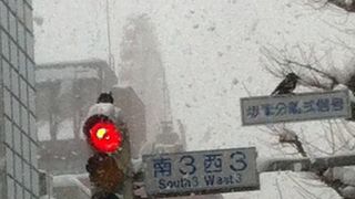 乗るなら昼間です！