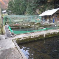 魚の養殖いけす