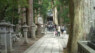 神秘的な高野山の奥の院