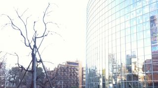 こじんまりした綺麗な庭園です!!