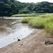 三浦半島に珍しい優しい海辺