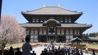 境内の桜に癒されました